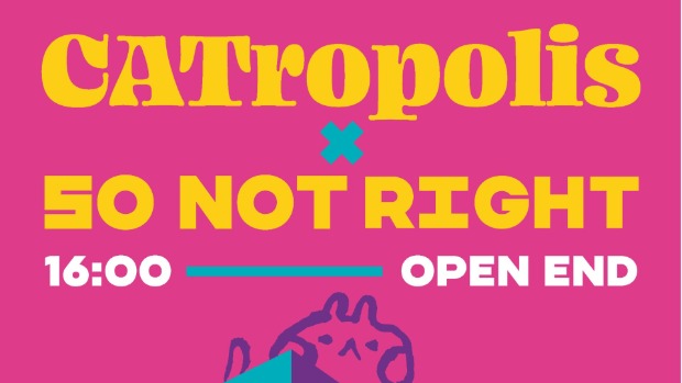 Gelbe Schrift auf pinkem Text: CATropolis. So not right. 16.00 - open end.